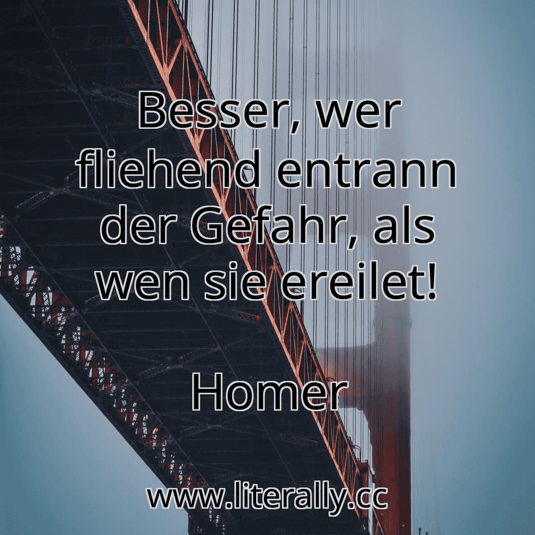Besser, wer fliehend entrann der Gefahr, als wen sie ereilet!
Homer
