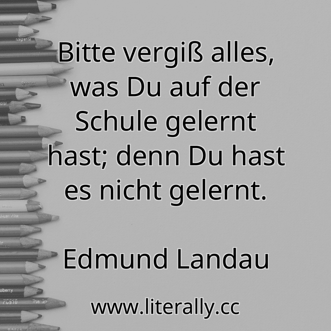 Bitte vergiß alles, was Du auf der Schule gelernt hast; denn Du hast es nicht gelernt.
Edmund Landau
