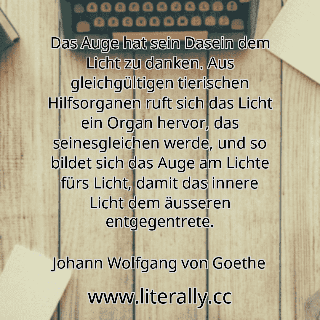 Das Auge hat sein Dasein dem Licht zu danken. Aus gleichgültigen tierischen Hilfsorganen ruft sich das Licht ein Organ hervor, das seinesgleichen werde, und so bildet sich das Auge am Lichte fürs Licht, damit das innere Licht dem äusseren entgegentrete.
Johann Wolfgang von Goethe
