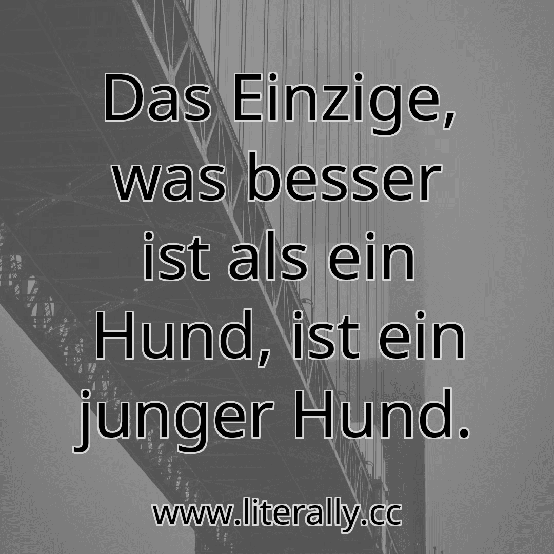 Das Einzige, was besser ist als ein Hund, ist ein junger Hund.
