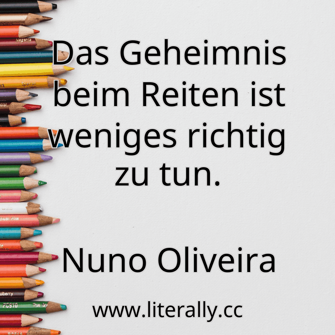 Das Geheimnis beim Reiten ist weniges richtig zu tun.
Nuno Oliveira
