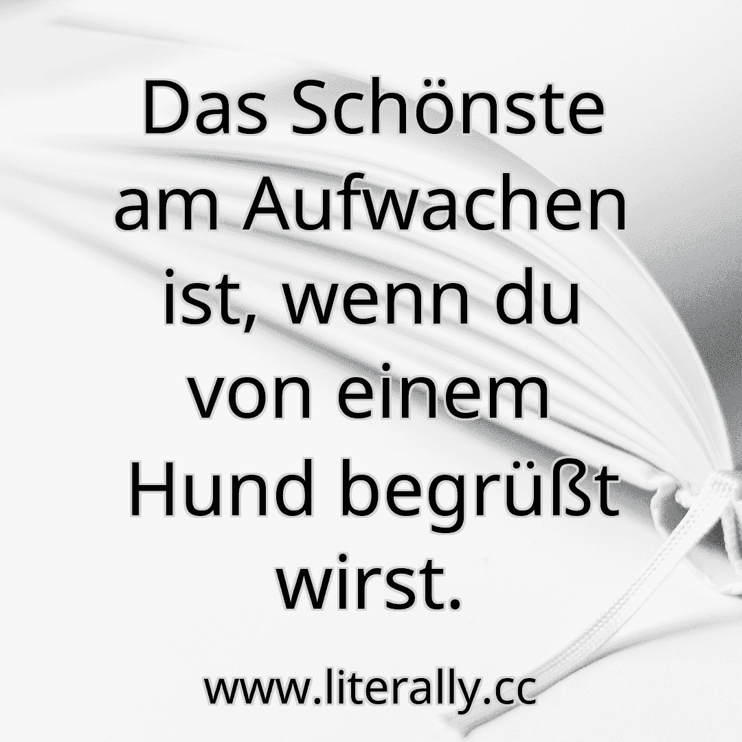 Das Schönste am Aufwachen ist, wenn du von einem Hund begrüßt wirst.
