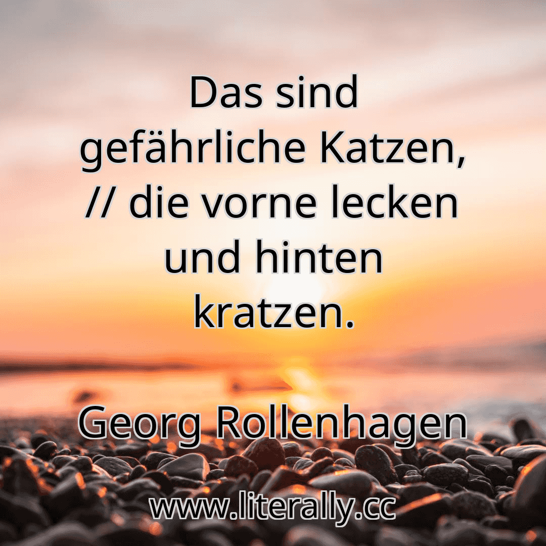Das sind gefährliche Katzen, // die vorne lecken und hinten kratzen.
Georg Rollenhagen
