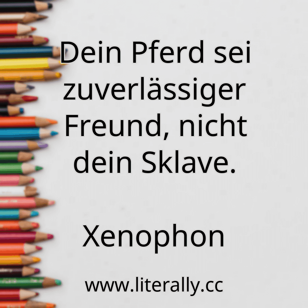 Dein Pferd sei zuverlässiger Freund, nicht dein Sklave.
Xenophon
