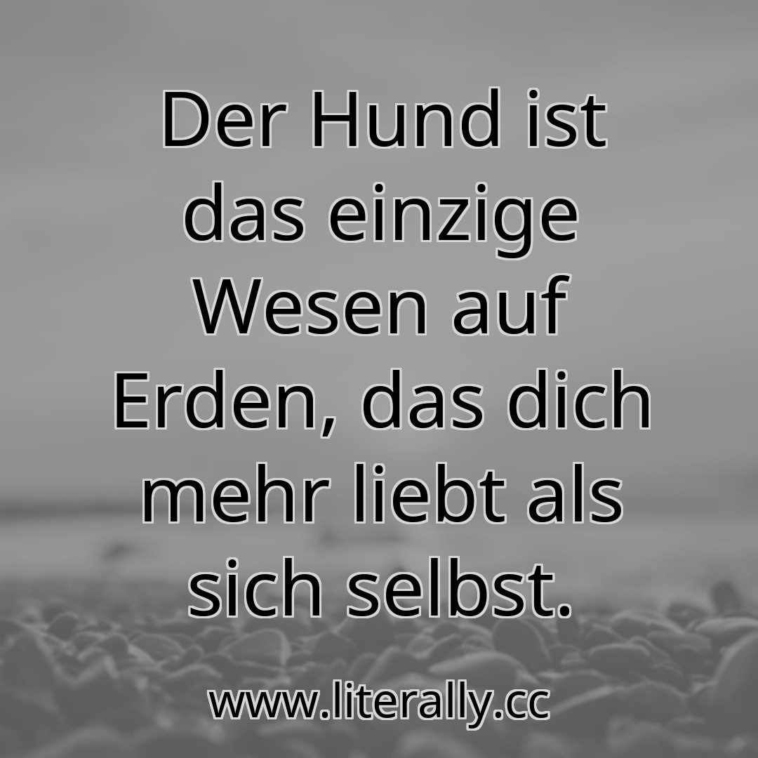 Der Hund ist das einzige Wesen auf Erden, das dich mehr liebt als sich selbst.
