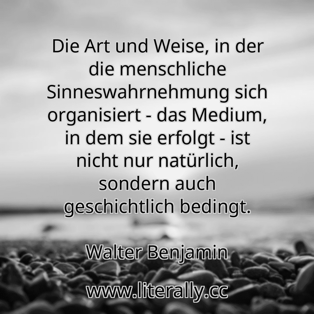 Die Art und Weise, in der die menschliche Sinneswahrnehmung sich organisiert - das Medium, in dem sie erfolgt - ist nicht nur natürlich, sondern auch geschichtlich bedingt.
Walter Benjamin

