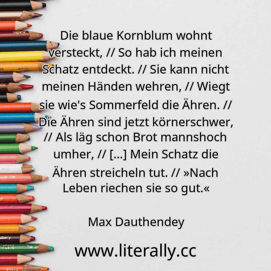 Die blaue Kornblum wohnt versteckt, // So hab ich meinen Schatz entdeckt. // Sie kann nicht meinen Händen wehren, // Wiegt sie wie's Sommerfeld die Ähren. // Die Ähren sind jetzt körnerschwer, // Als läg schon Brot mannshoch umher, // […] Mein Schatz die Ähren streicheln tut. // »Nach Leben riechen sie so gut.«
Max Dauthendey
