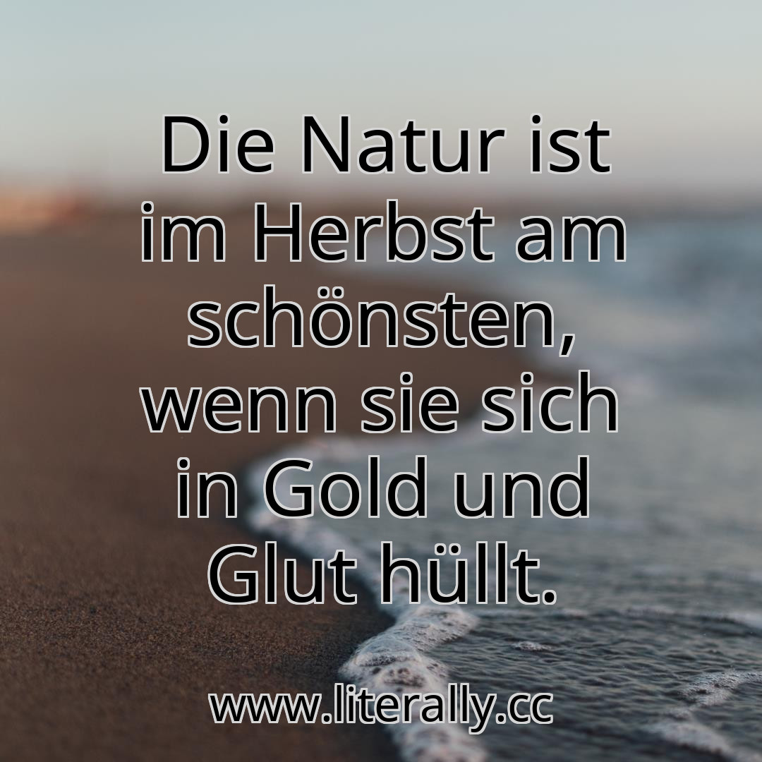 Die Natur ist im Herbst am schönsten, wenn sie sich in Gold und Glut hüllt.
