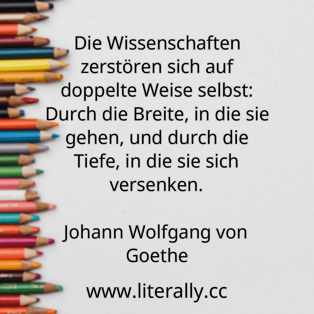 Die Wissenschaften zerstören sich auf doppelte Weise selbst: Durch die Breite, in die sie gehen, und durch die Tiefe, in die sie sich versenken.
Johann Wolfgang von Goethe
