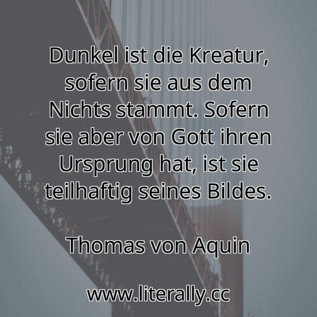 Dunkel ist die Kreatur, sofern sie aus dem Nichts stammt. Sofern sie aber von Gott ihren Ursprung hat, ist sie teilhaftig seines Bildes.
Thomas von Aquin
