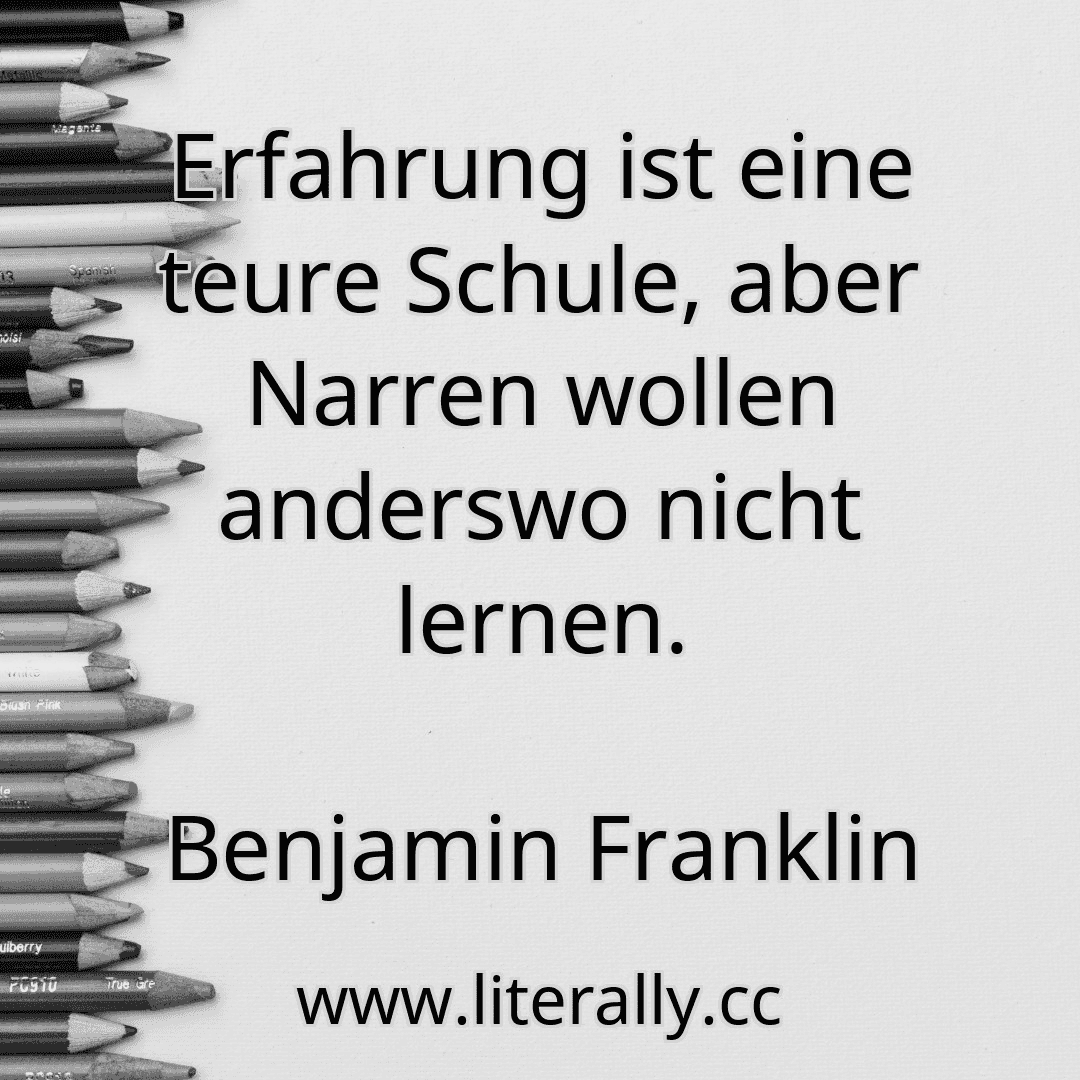 Erfahrung ist eine teure Schule, aber Narren wollen anderswo nicht lernen.
Benjamin Franklin
