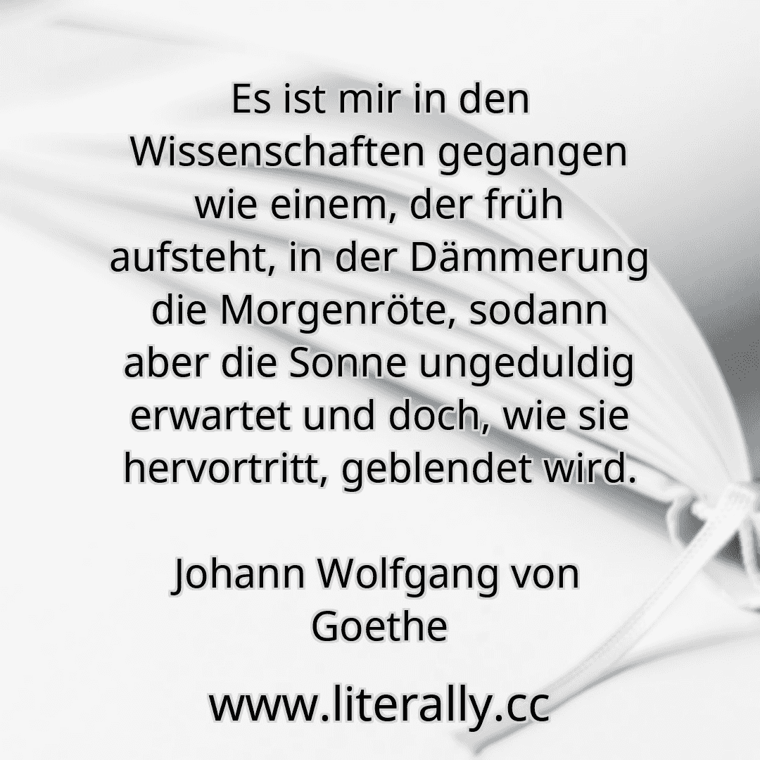 Es ist mir in den Wissenschaften gegangen wie einem, der früh aufsteht, in der Dämmerung die Morgenröte, sodann aber die Sonne ungeduldig erwartet und doch, wie sie hervortritt, geblendet wird.
Johann Wolfgang von Goethe
