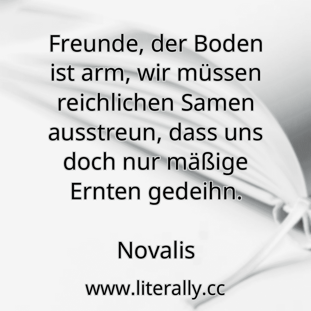 Freunde, der Boden ist arm, wir müssen reichlichen Samen ausstreun, dass uns doch nur mäßige Ernten gedeihn.
Novalis
