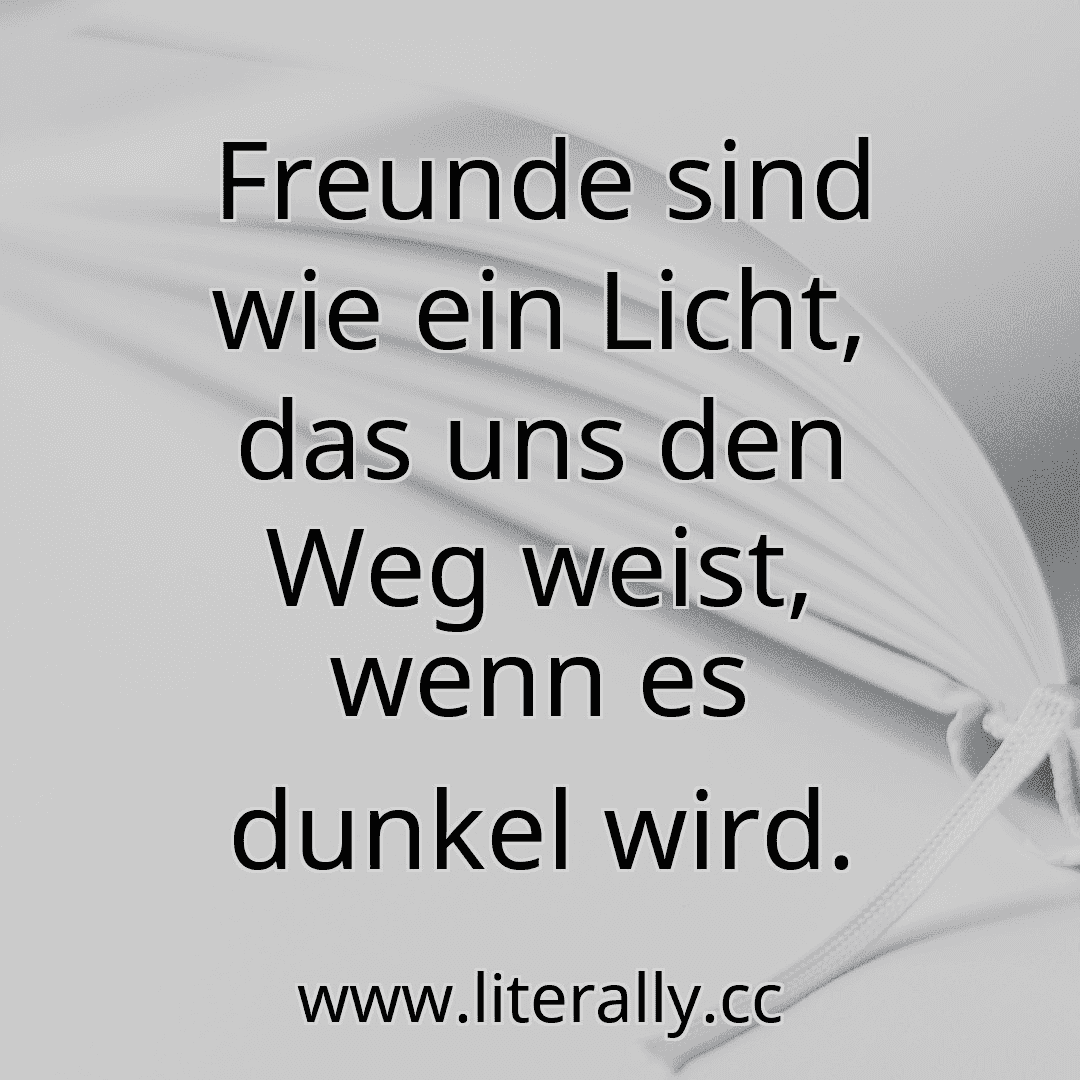 Freunde sind wie ein Licht, das uns den Weg weist, wenn es dunkel wird.
