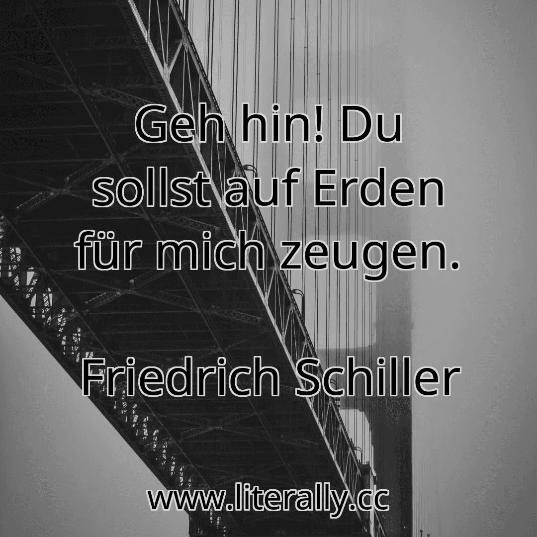 Geh hin! Du sollst auf Erden für mich zeugen.
Friedrich Schiller

