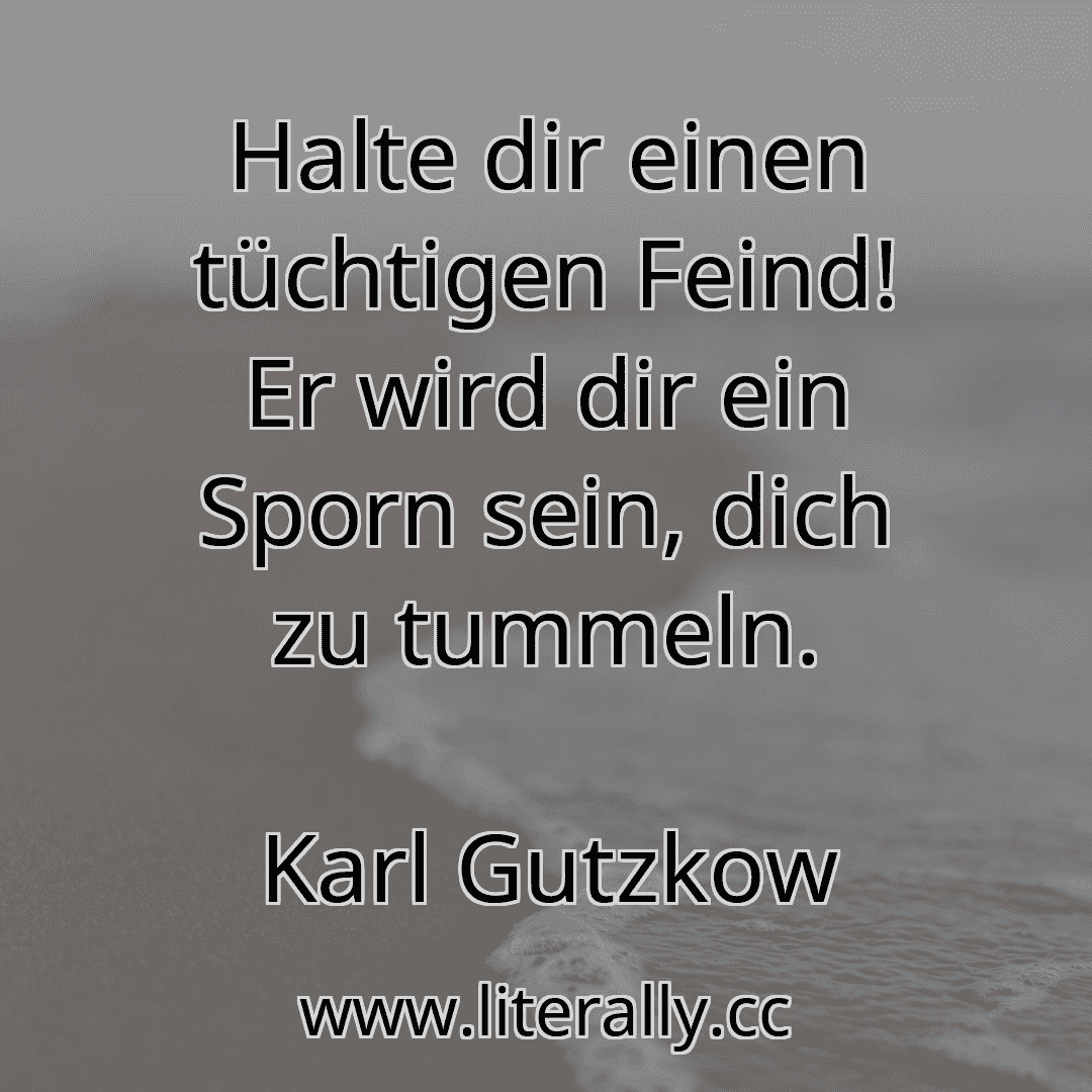 Halte dir einen tüchtigen Feind! Er wird dir ein Sporn sein, dich zu tummeln.
Karl Gutzkow
