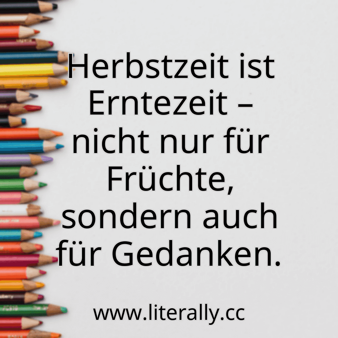 Herbstzeit ist Erntezeit – nicht nur für Früchte, sondern auch für Gedanken.
