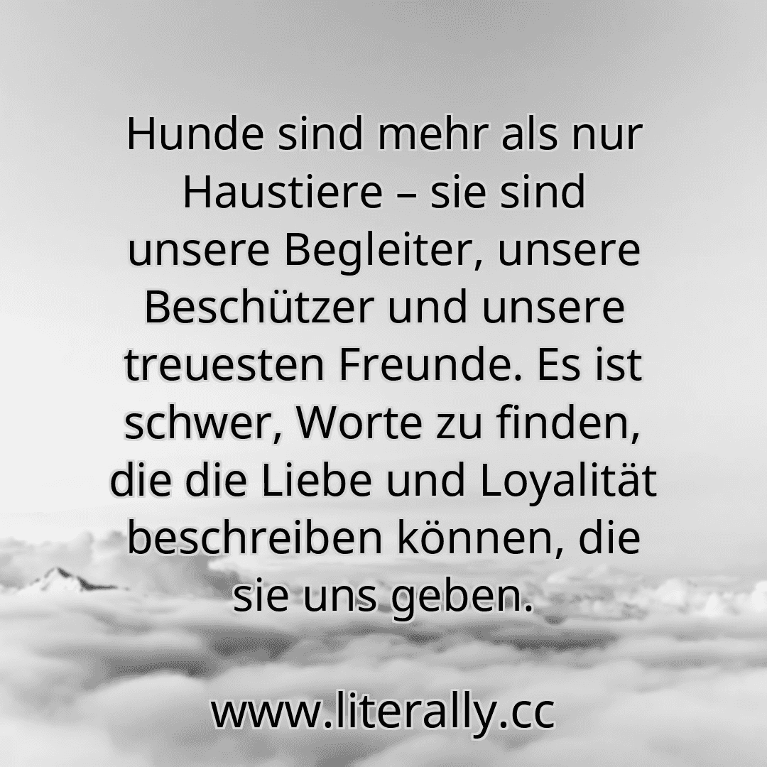 Hunde sind mehr als nur Haustiere – sie sind unsere Begleiter, unsere Beschützer und unsere treuesten Freunde. Es ist schwer, Worte zu finden, die die Liebe und Loyalität beschreiben können, die sie uns geben.
