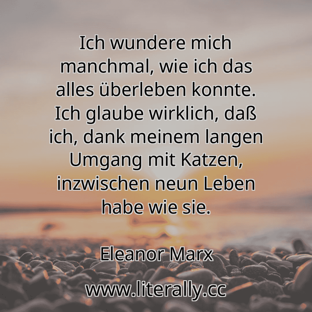 Ich wundere mich manchmal, wie ich das alles überleben konnte. Ich glaube wirklich, daß ich, dank meinem langen Umgang mit Katzen, inzwischen neun Leben habe wie sie.
Eleanor Marx
