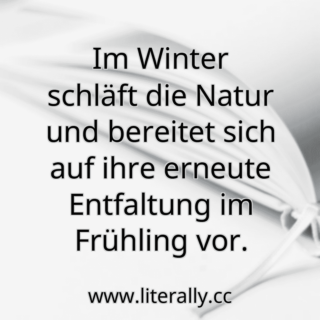Im Winter schläft die Natur und bereitet sich auf ihre erneute Entfaltung im Frühling vor.
