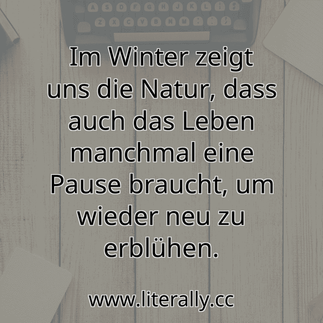 Im Winter zeigt uns die Natur, dass auch das Leben manchmal eine Pause braucht, um wieder neu zu erblühen.
