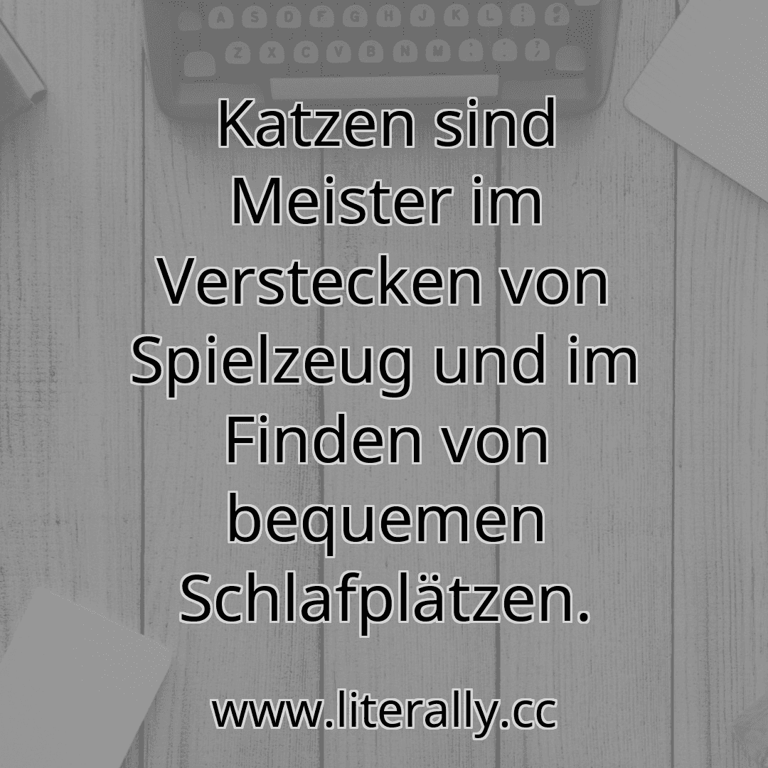 Katzen sind Meister im Verstecken von Spielzeug und im Finden von bequemen Schlafplätzen.
