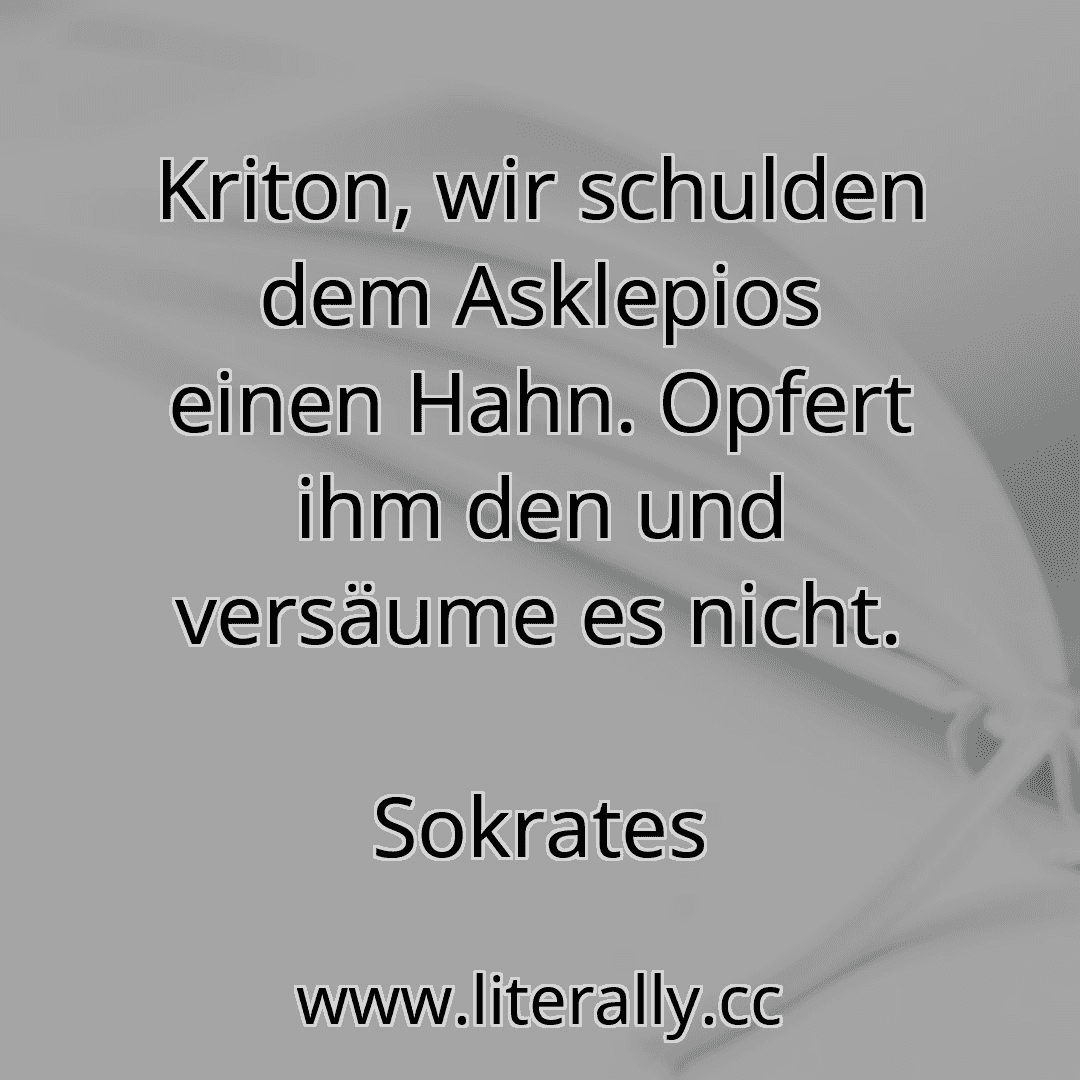 Kriton, wir schulden dem Asklepios einen Hahn. Opfert ihm den und versäume es nicht.
Sokrates
