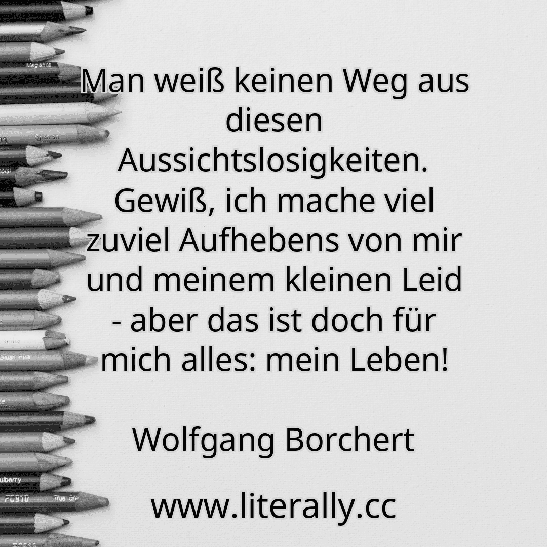 Man weiß keinen Weg aus diesen Aussichtslosigkeiten. Gewiß, ich mache viel zuviel Aufhebens von mir und meinem kleinen Leid - aber das ist doch für mich alles: mein Leben!
Wolfgang Borchert
