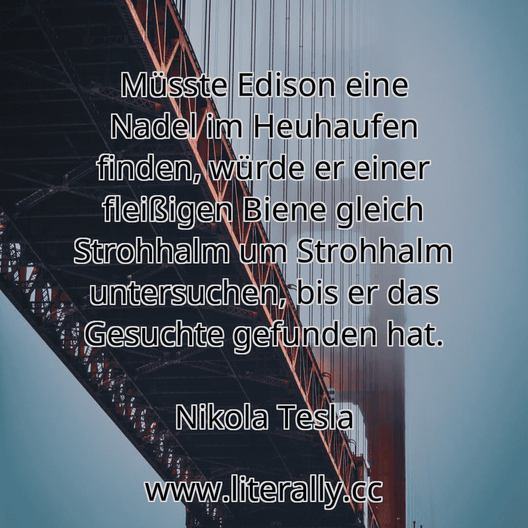 Müsste Edison eine Nadel im Heuhaufen finden, würde er einer fleißigen Biene gleich Strohhalm um Strohhalm untersuchen, bis er das Gesuchte gefunden hat.
Nikola Tesla
