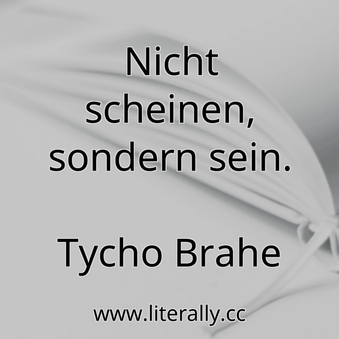 Nicht scheinen, sondern sein.
Tycho Brahe
