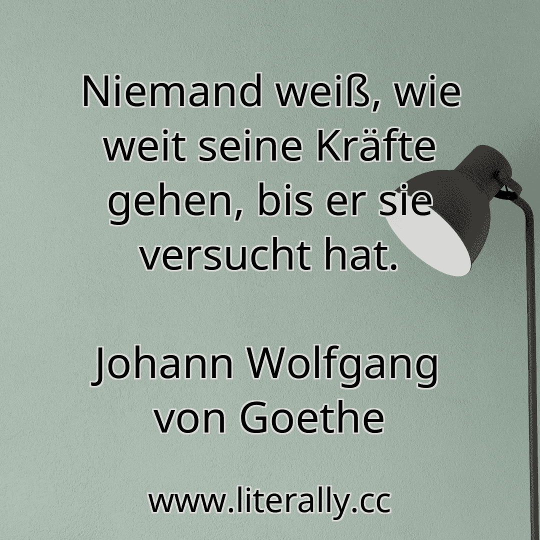 Niemand weiß, wie weit seine Kräfte gehen, bis er sie versucht hat.
Johann Wolfgang von Goethe
