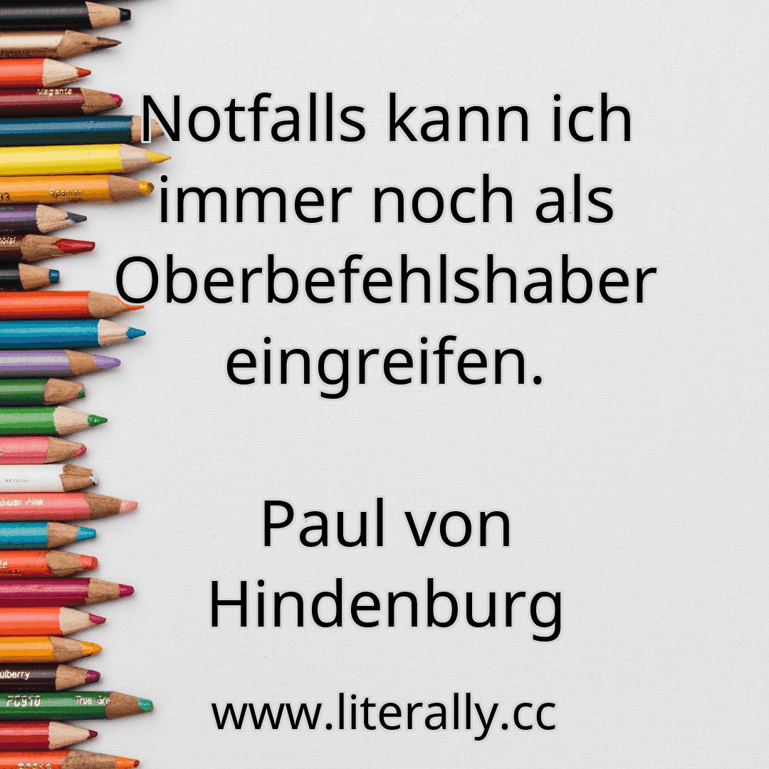 Notfalls kann ich immer noch als Oberbefehlshaber eingreifen.
Paul von Hindenburg

