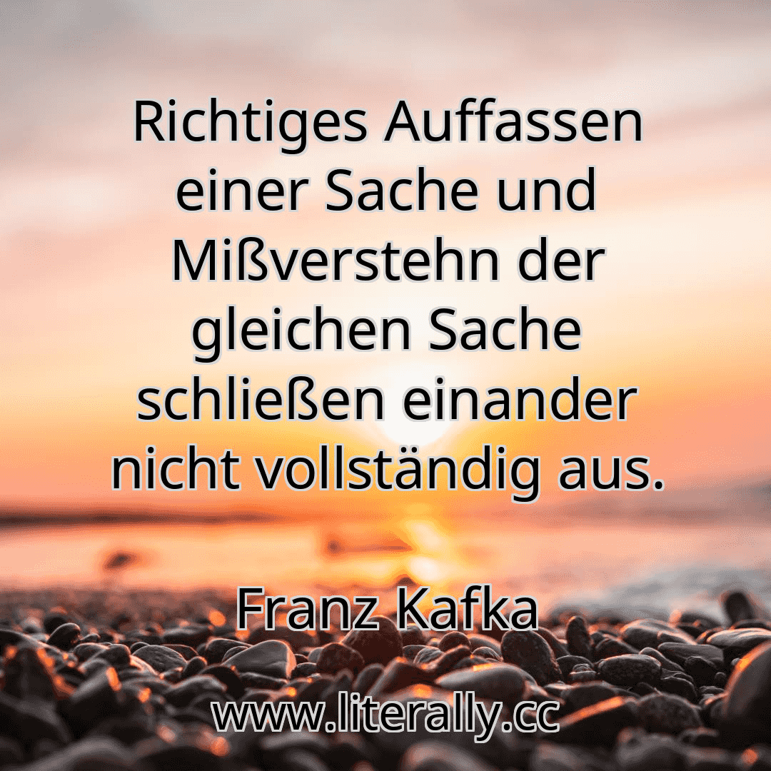Richtiges Auffassen einer Sache und Mißverstehn der gleichen Sache schließen einander nicht vollständig aus.
Franz Kafka
