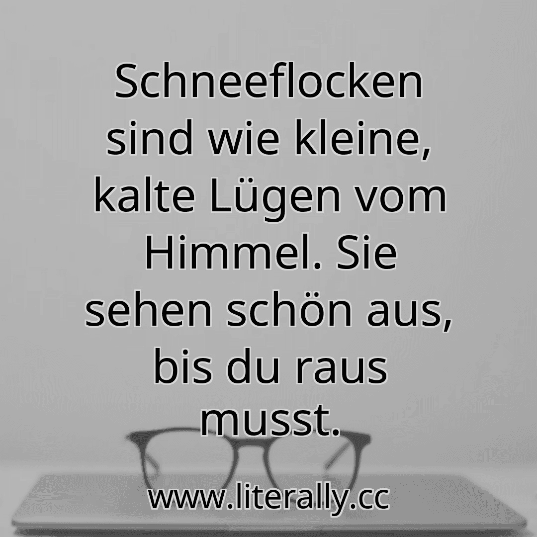 Schneeflocken sind wie kleine, kalte Lügen vom Himmel. Sie sehen schön aus, bis du raus musst.
