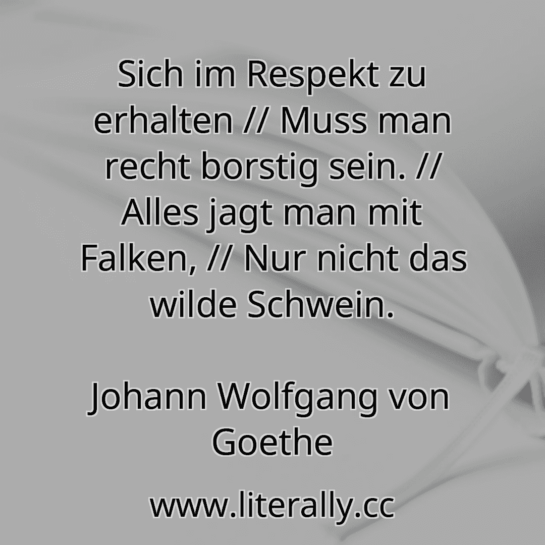 Sich im Respekt zu erhalten // Muss man recht borstig sein. // Alles jagt man mit Falken, // Nur nicht das wilde Schwein.
Johann Wolfgang von Goethe
