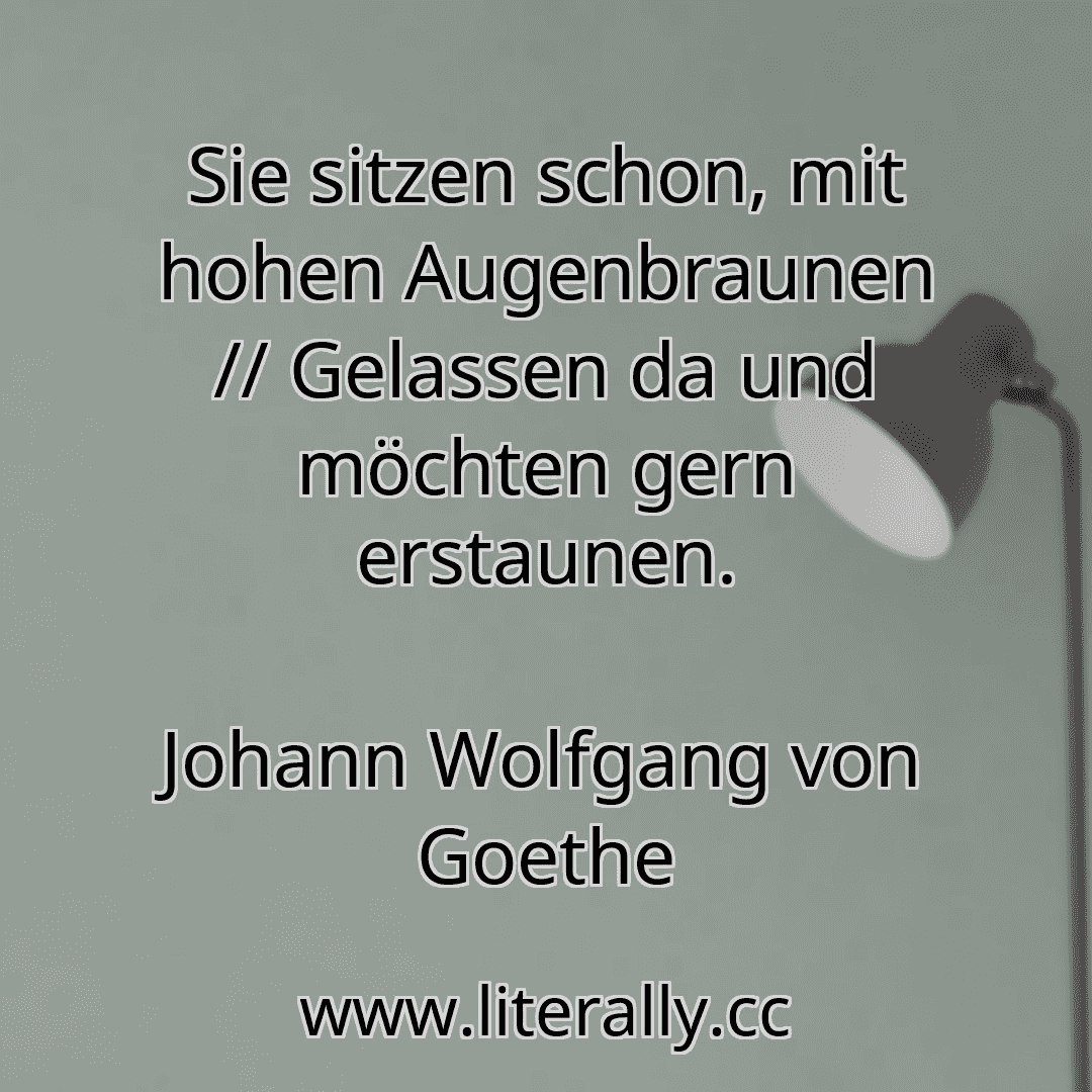 Sie sitzen schon, mit hohen Augenbraunen // Gelassen da und möchten gern erstaunen.
Johann Wolfgang von Goethe
