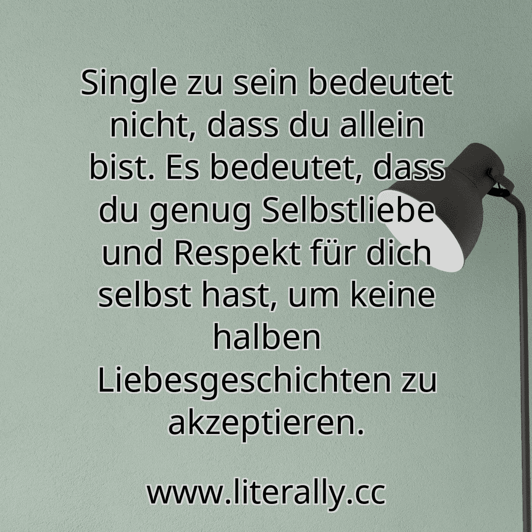 Single zu sein bedeutet nicht, dass du allein bist. Es bedeutet, dass du genug Selbstliebe und Respekt für dich selbst hast, um keine halben Liebesgeschichten zu akzeptieren.
