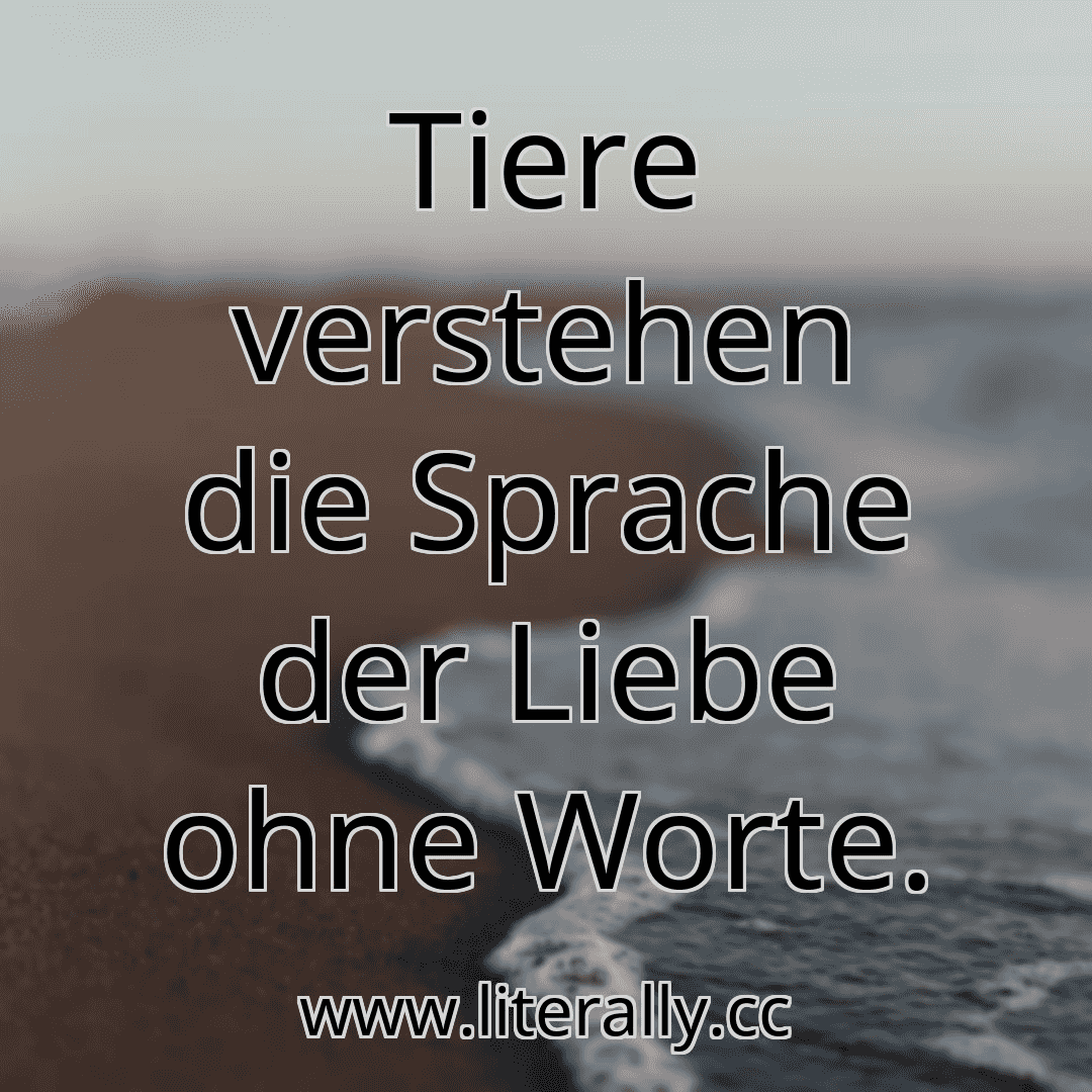 Tiere verstehen die Sprache der Liebe ohne Worte.
