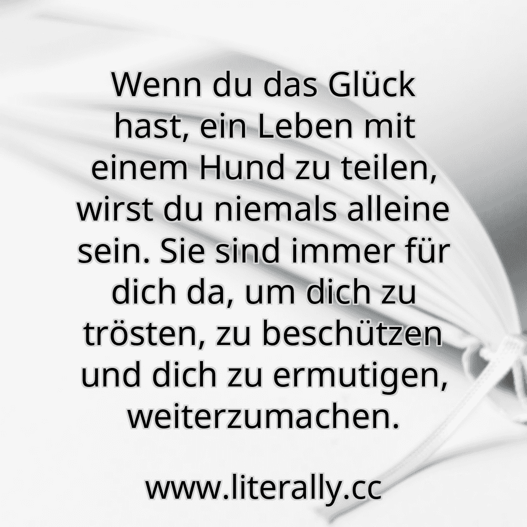 Wenn du das Glück hast, ein Leben mit einem Hund zu teilen, wirst du niemals alleine sein. Sie sind immer für dich da, um dich zu trösten, zu beschützen und dich zu ermutigen, weiterzumachen.
