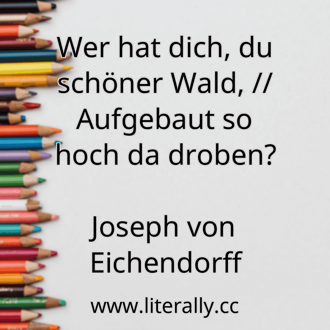 Wer hat dich, du schöner Wald, // Aufgebaut so hoch da droben?
Joseph von Eichendorff
