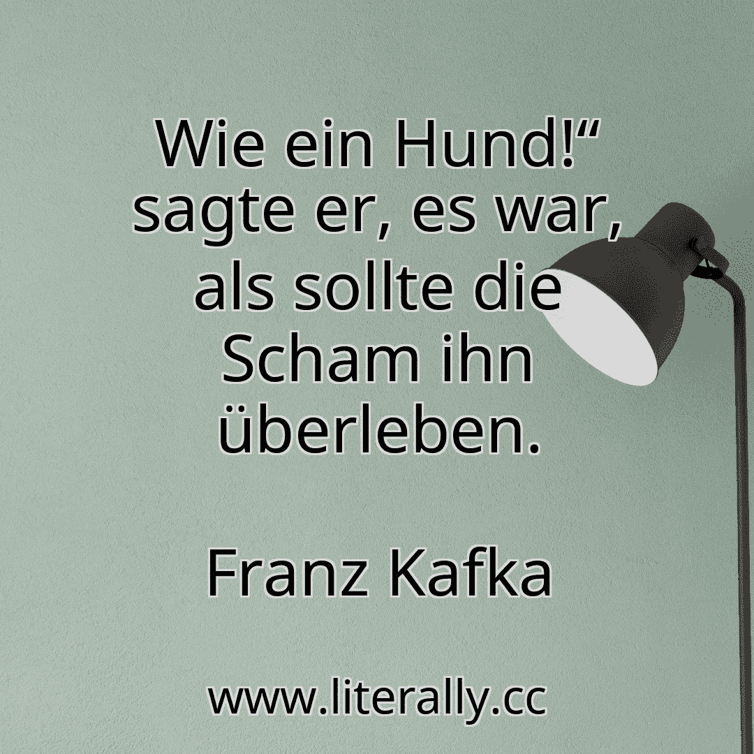 Wie ein Hund!“ sagte er, es war, als sollte die Scham ihn überleben.
Franz Kafka
