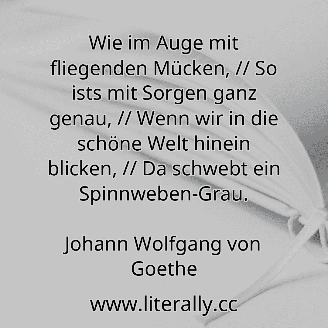Wie im Auge mit fliegenden Mücken, // So ists mit Sorgen ganz genau, // Wenn wir in die schöne Welt hinein blicken, // Da schwebt ein Spinnweben-Grau.
Johann Wolfgang von Goethe
