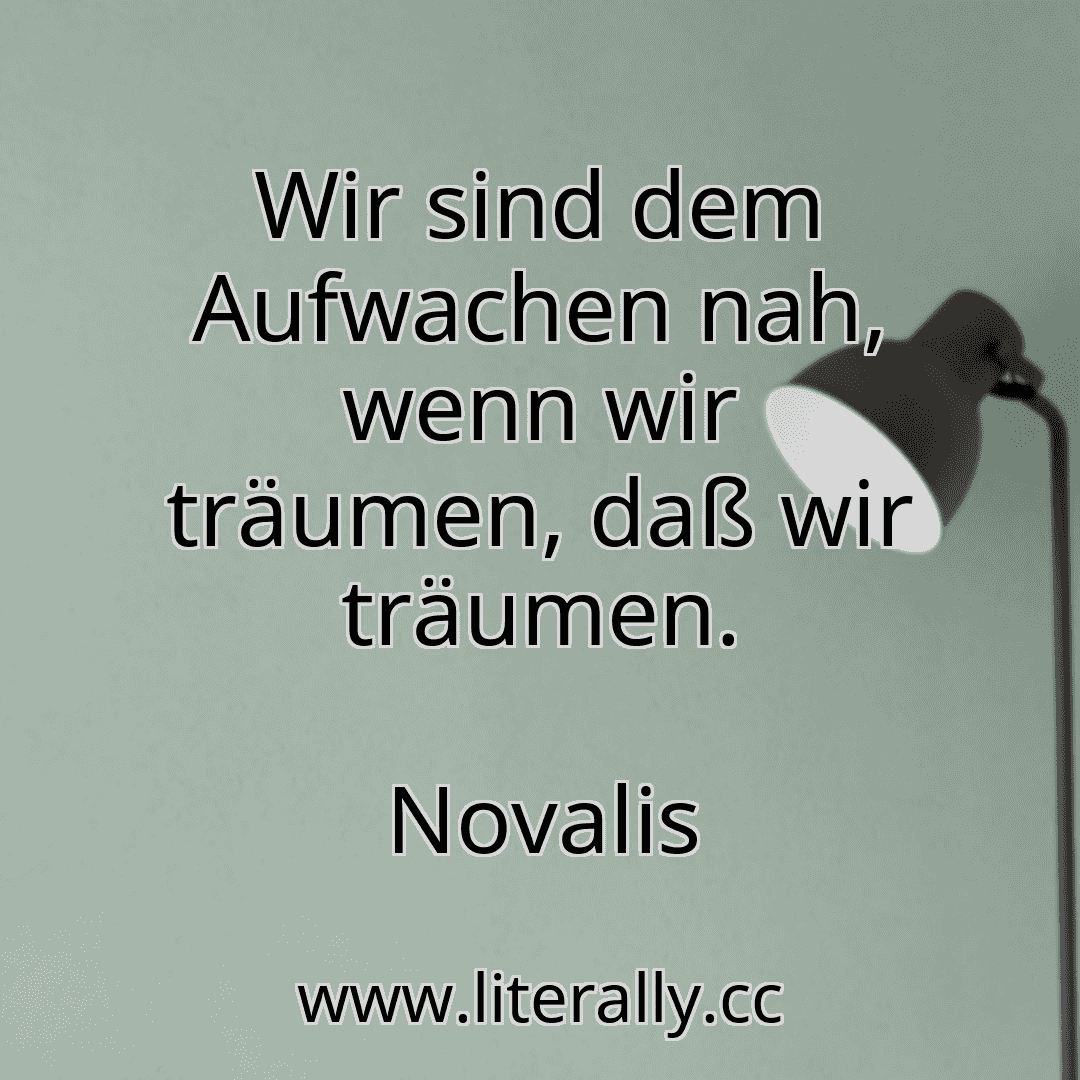 Wir sind dem Aufwachen nah, wenn wir träumen, daß wir träumen.
Novalis
