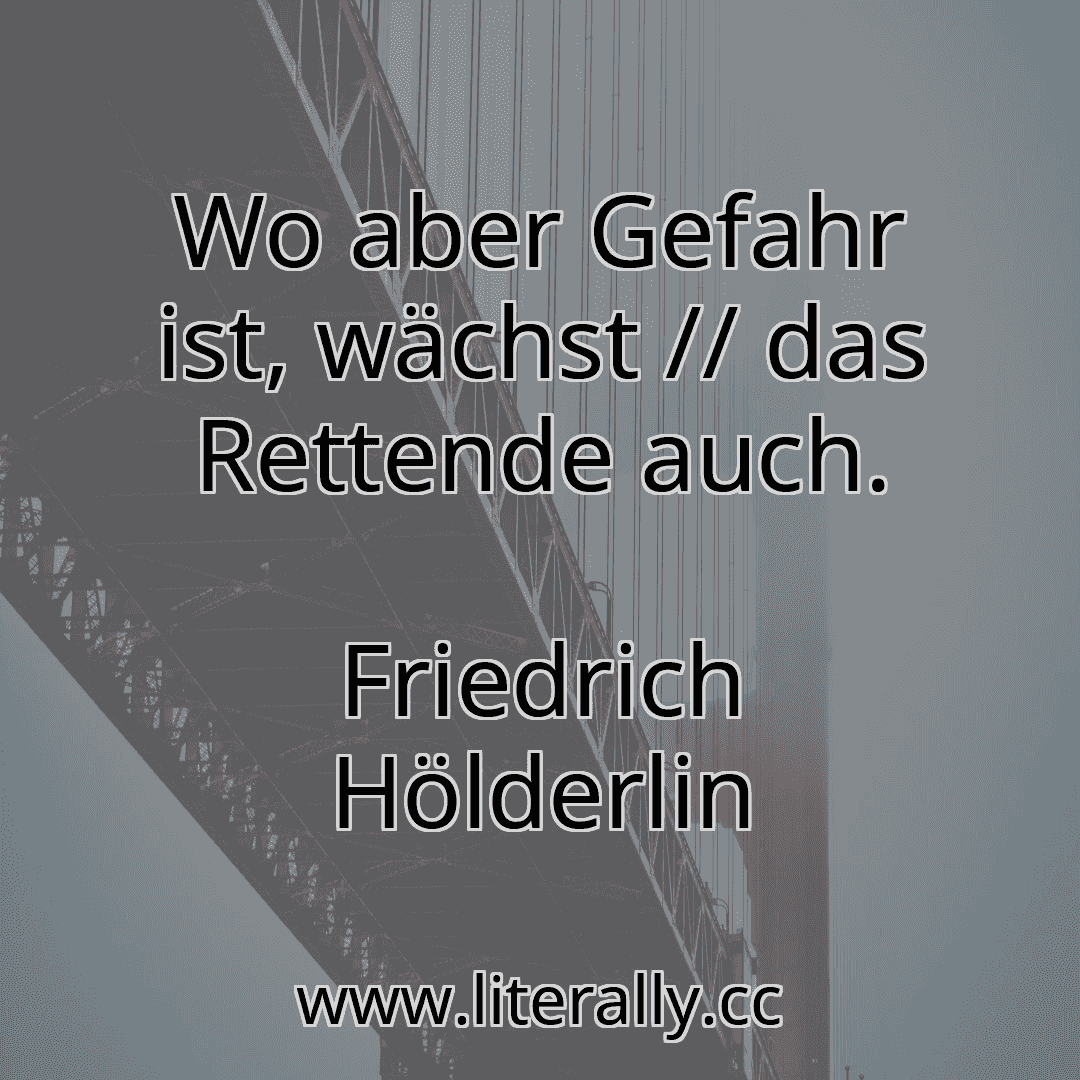 Wo aber Gefahr ist, wächst // das Rettende auch.
Friedrich Hölderlin
