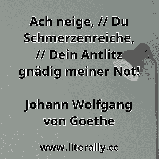 Ach neige, // Du Schmerzenreiche, // Dein Antlitz gnädig meiner Not!
Johann Wolfgang von Goethe
