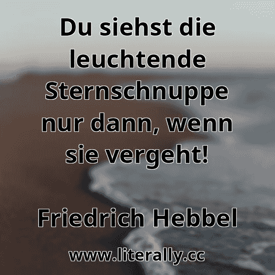 Du siehst die leuchtende Sternschnuppe nur dann, wenn sie vergeht!
Friedrich Hebbel
