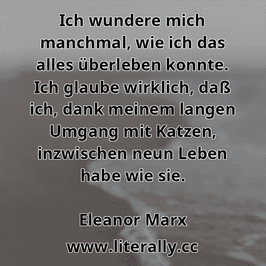 Ich wundere mich manchmal, wie ich das alles überleben konnte. Ich glaube wirklich, daß ich, dank meinem langen Umgang mit Katzen, inzwischen neun Leben habe wie sie.
Eleanor Marx
