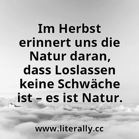 Im Herbst erinnert uns die Natur daran, dass Loslassen keine Schwäche ist – es ist Natur.
