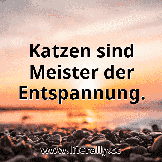 Katzen sind Meister der Entspannung.
