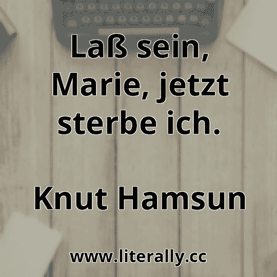 Laß sein, Marie, jetzt sterbe ich.
Knut Hamsun

